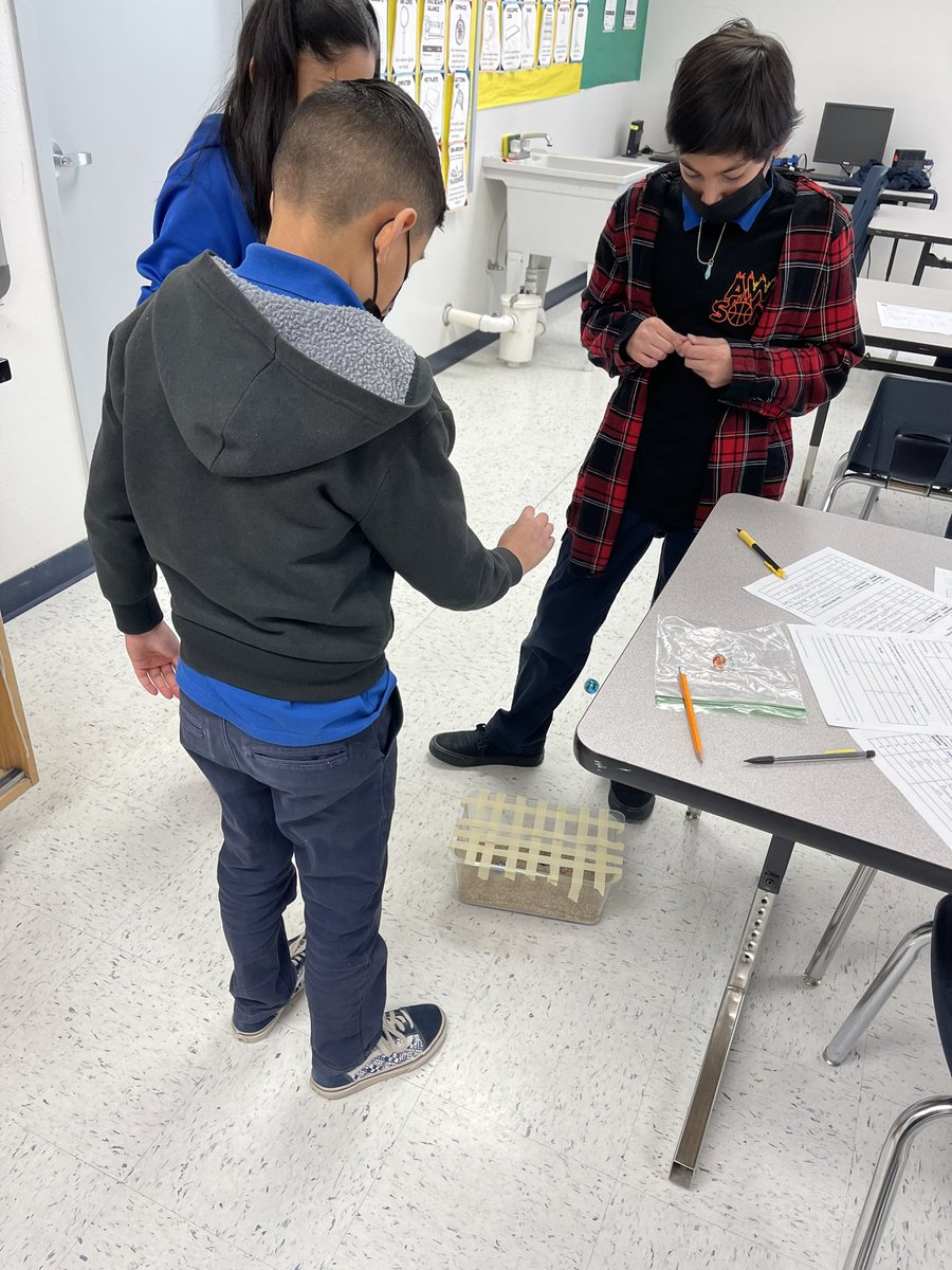 Elaine Whitman tweet media