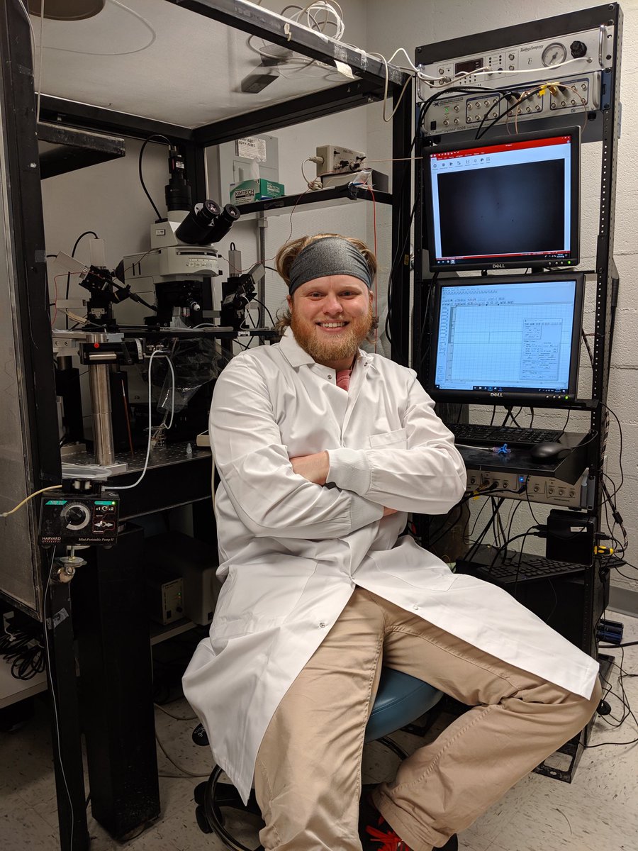 The Mei Lab tweet media