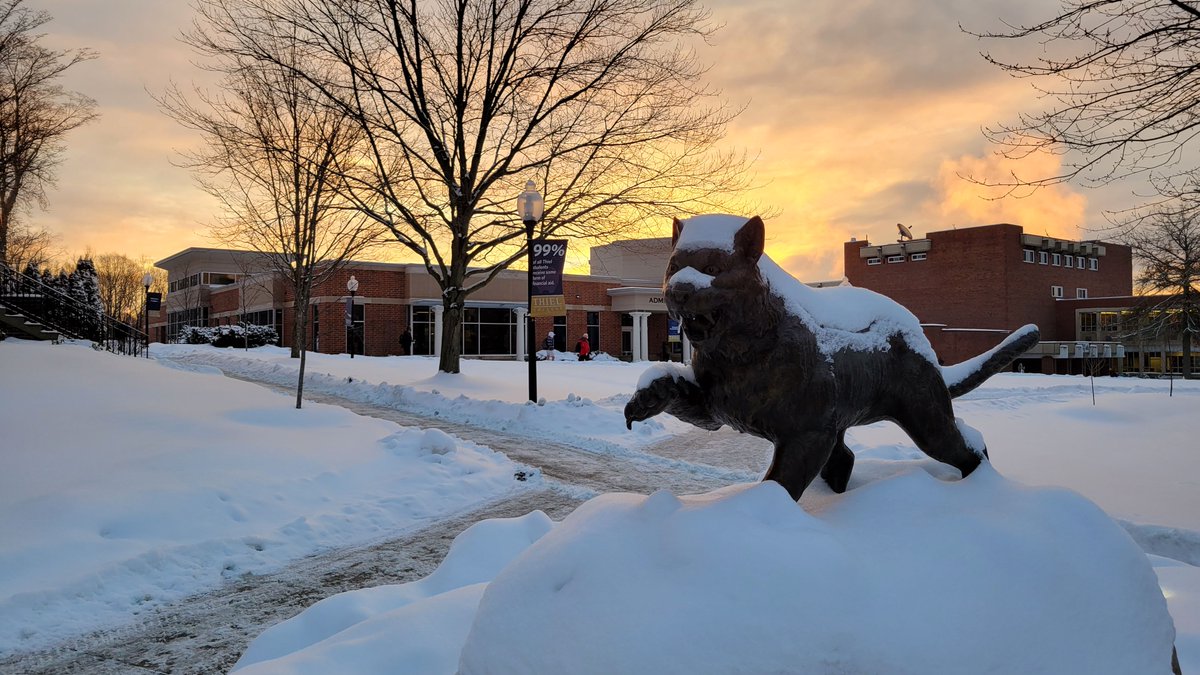 thielcollege's tweet photo. Happy Monday, Tomcats. https://t.co/olvMiDHZ1B