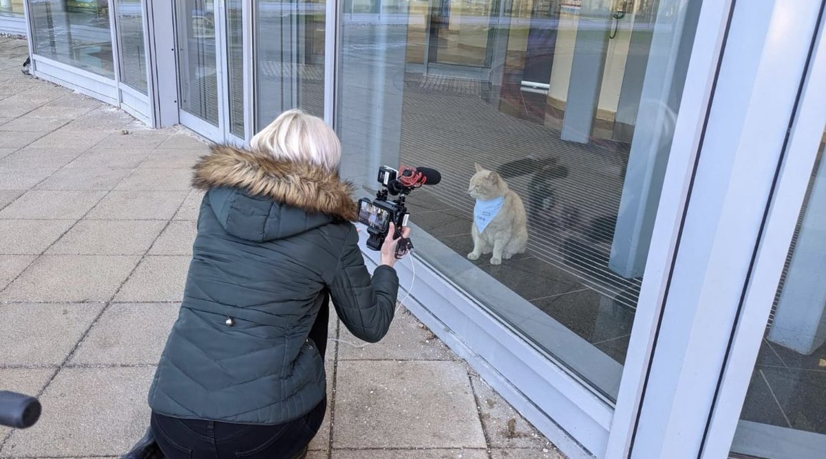 angstringfellow's tweet photo. Look North were filming yang our resident cat at Hexham hospital today . Yang has been nominated for RSPCA and PDSA awards. ❤️🐱The patient feedback was fabulous to read he’s so calming and greets everyone! Yang is purr-fect don’t you agree! 🥳 https://t.co/LW0TswYNUz
