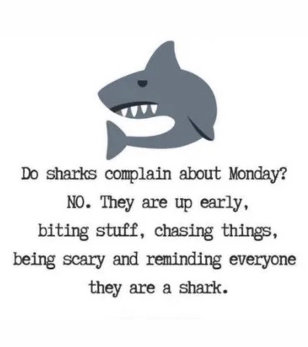 Tell us!! Are you a shark this Monday morning?? Go out there and make the most of your work day! Get it! #ExpressCorporateHousing #GoRoverGo #corporatehousing #servicedapartments #relocation #multifamilyhousing