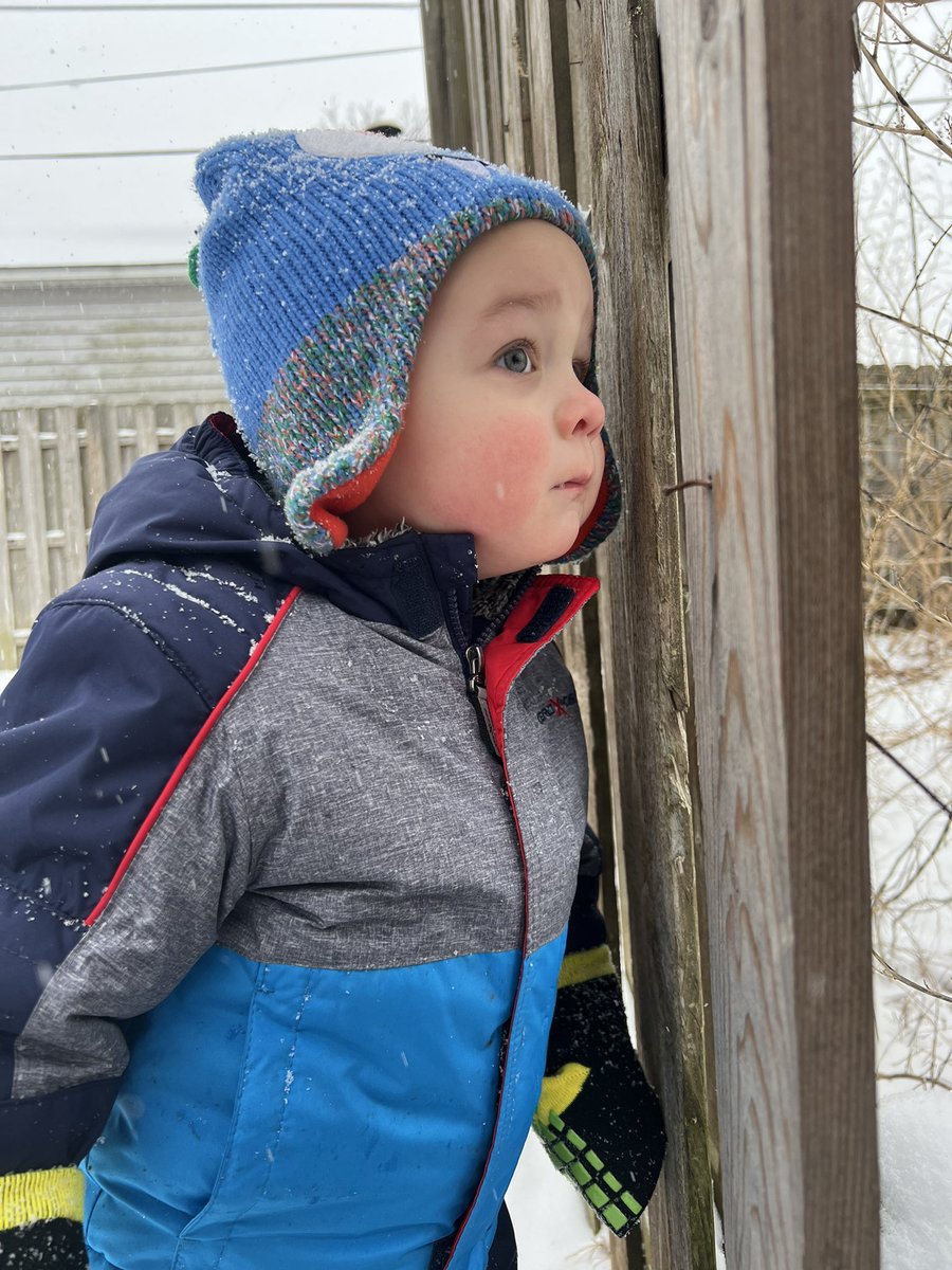 rh_wolff's tweet photo. Snow bby ❄️💙 https://t.co/UtgxLUosNf