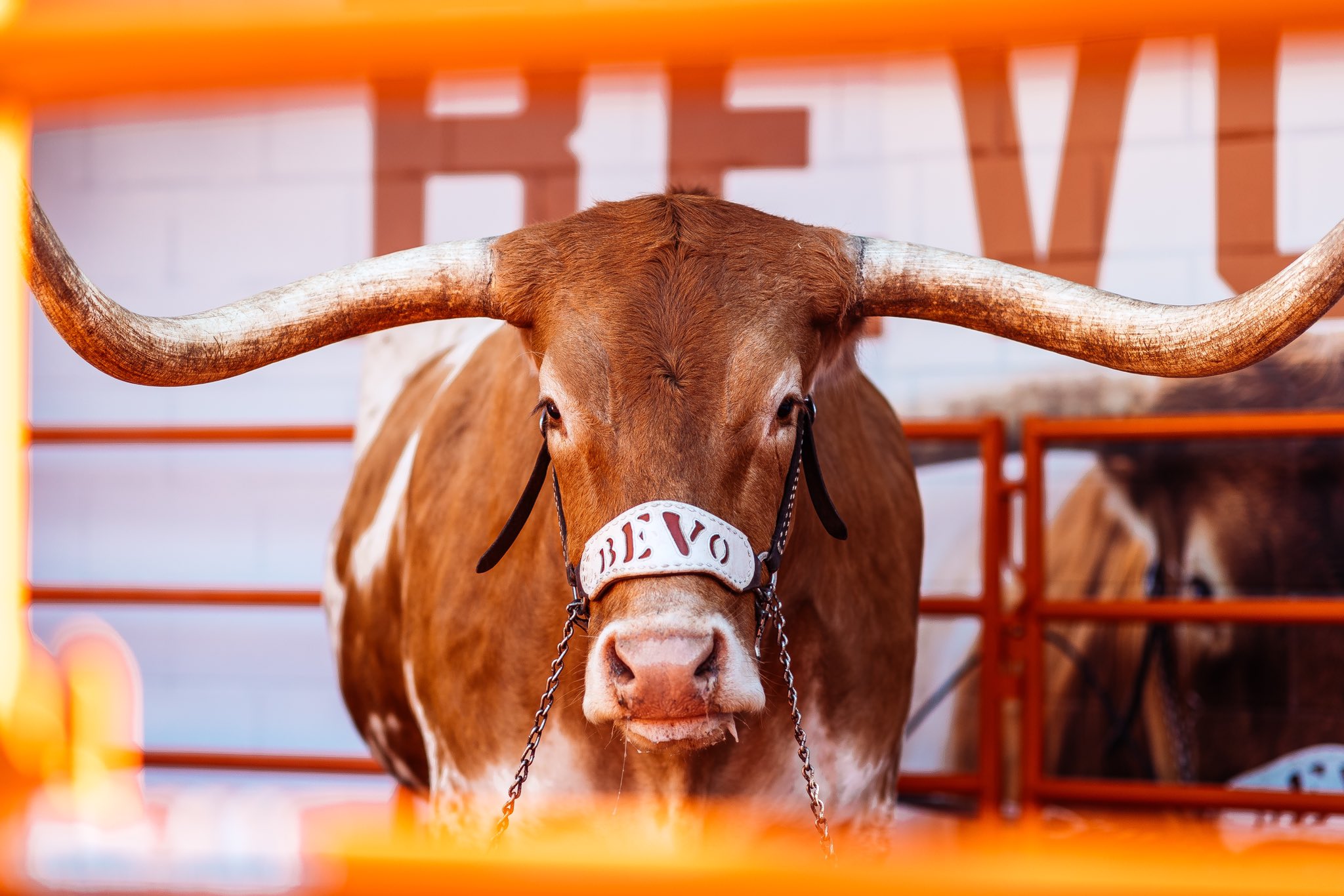 FJ4b_eUXEAQE9ko?format=jpg&name=large