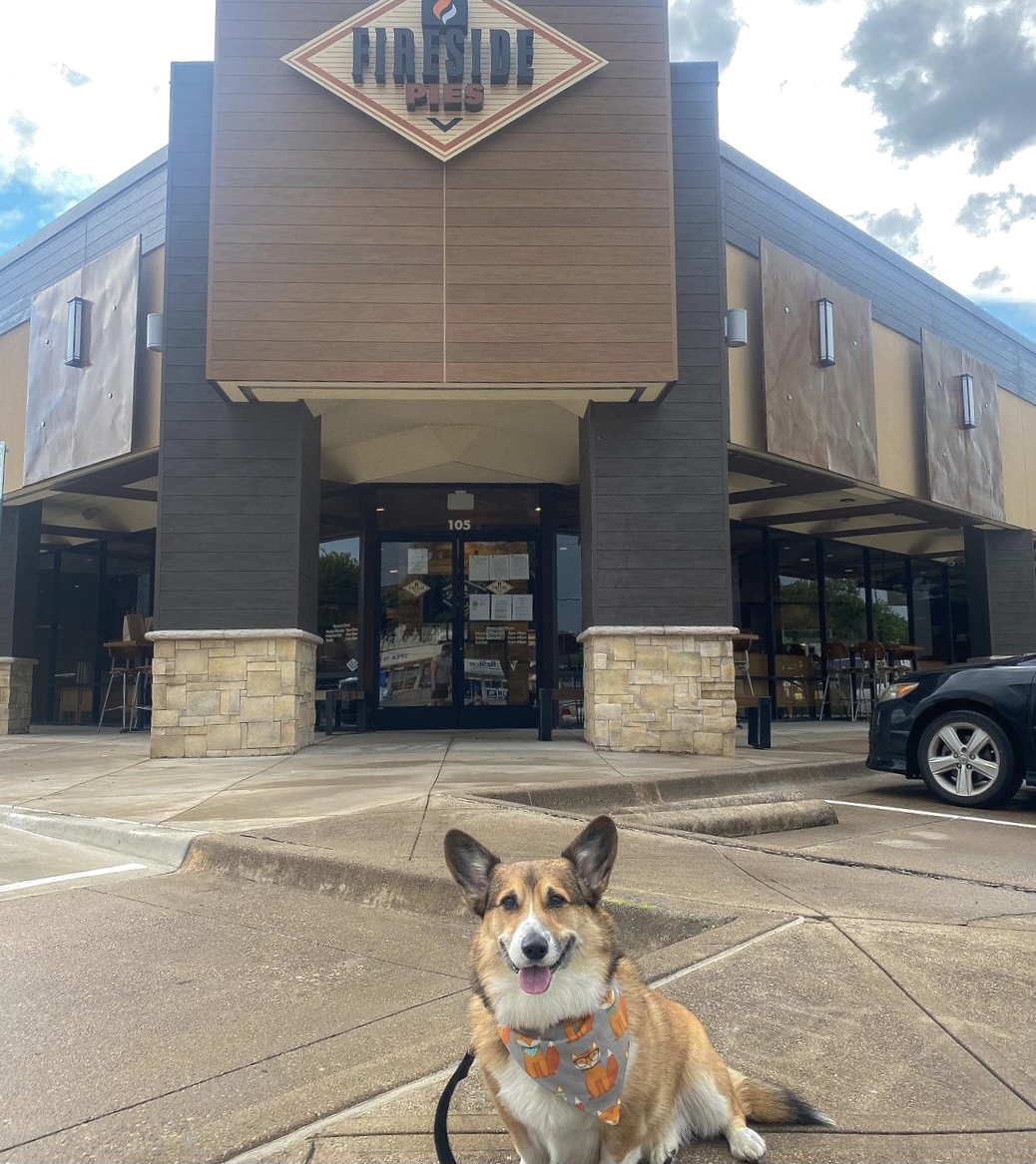 An ode to some of our Fireside Pies patio pups to start this week off right. 
•
🐾 📷 : 
@Lennon_yorkie 
<a href="/SashaZavala/">Sasha Zavala - The Daily Sash</a>
@WorldofJaxonMorkie
@ScoobstheCorgi