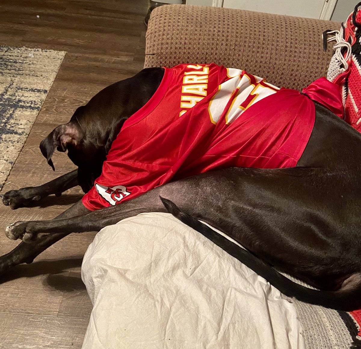 RyanKristal's tweet photo. Axl is #mood for all of #KC after that @Chiefs game last night!! Wow!! @PatrickMahomes you are unreal!!!! #13seconds #AFCChampionshipBound #whatagame #BillsvsChiefs #ChiefsKingdom #OneTeamOneVision #Chiefs #AFCDivisional #LetsGo #thatsmyqb https://t.co/hkFJLnDVgr