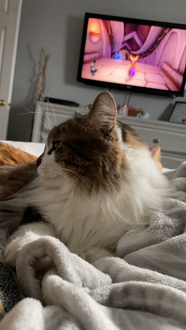 Stunning incredible majestic  my bfffffff https://t.co/3hRqCTZjhD