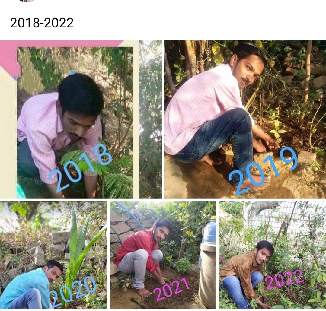 ramesh_edula's tweet photo. My birthday special year year plant @dintya15 @rajakishore_j @ts_health @TelanganaCMO https://t.co/kq3QUiB7KB