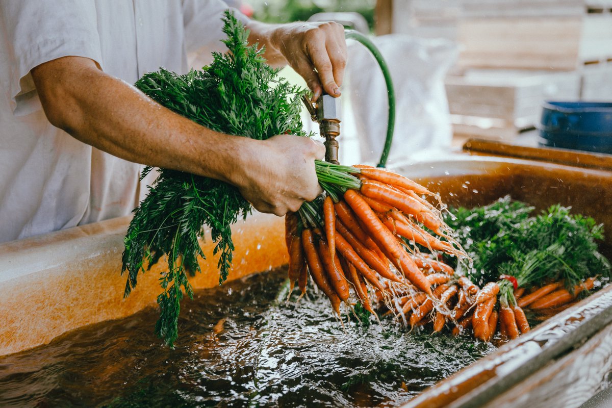 equiterre's tweet photo. #AlimentsLocaux| Institutions du QuĂ©bec gĂ©rant un service alimentaire : Cela vous dit de mettre des aliments locaux dans vos menus en 2022? đđ„đ
AdhĂ©rer au programme Aliments du QuĂ©bec au menu - Institution âĄïž https://t.co/l0ygtRoPh1 https://t.co/Ui8rREQBTn
