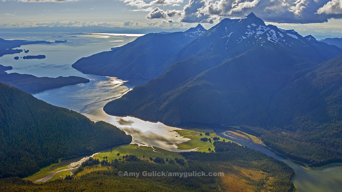 southeast_ak_cc's tweet photo. The #TongassNationalForest has 1/3 of the world’s temperate rainforests and is an important carbon sink to regulate global climate. Let’s keep it that way! 

Comment by TODAY to reinstate the Roadless Rule protections for the Tongass at https://t.co/thniHB8rZp.

📸; @amygulick https://t.co/nei7GpYTQn