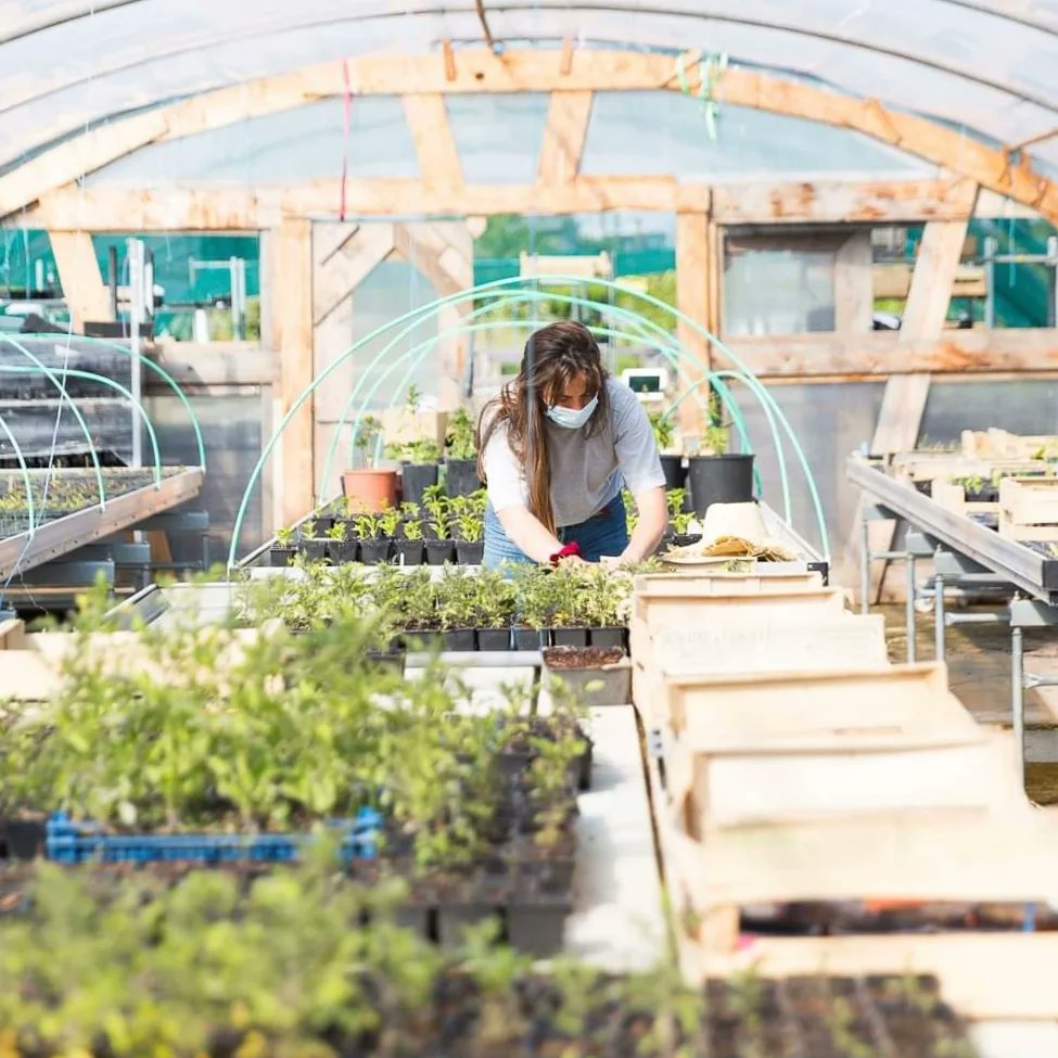 La_SAUGE's tweet photo. 📣 La SAUGE recrute ! 📣

Nous recherchons notre prochain.e Responsable de la
production agricole participative (secteur IDF) en CDI  🌱

Le poste t'intéresse ? Toutes les infos ici 👉 https://t.co/kJg7QRo5Y2 https://t.co/fV1TELAP05