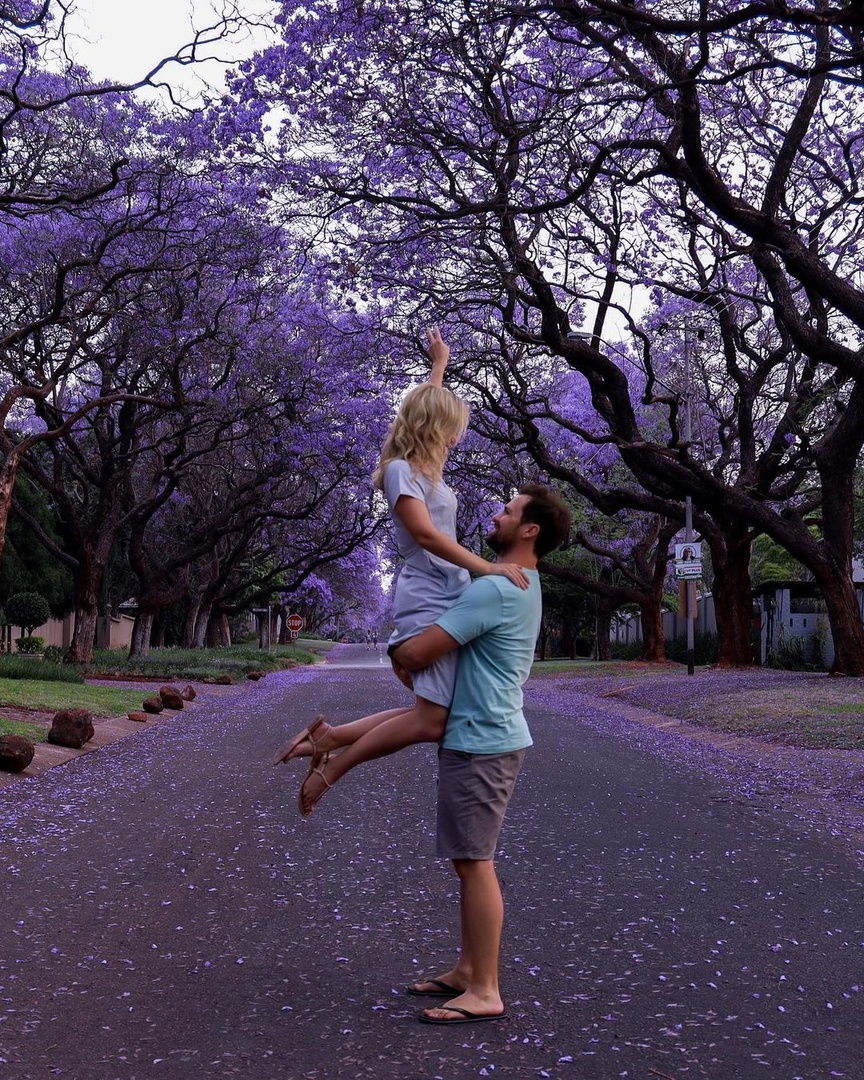 Did you know that Pretoria is also known as the "Jacaranda City" due to its gorgeous mauve blossomed tree-lined streets? 💜 #MeetSouthAfrica🇿🇦 
📸: _mariska_k