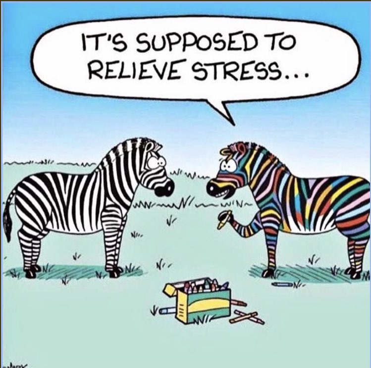 Hey Pythons! Did you know colouring is a great technique to calm and occupy our minds?! It helps relieve stress and allows us to focus our energy elsewhere when we aren’t feeling up to other tasks! What other “zen activities” do you use and rely on?! 
<a href="/SPJHPythons/">SPJH</a>