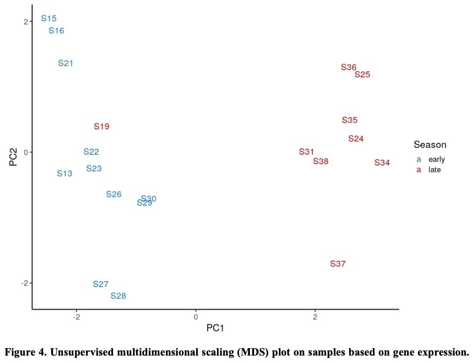 bsuther7's tweet image. Our latest #preprint, &quot;#Metatranscriptomics reveals a shift in microbial community composition and function during summer months in a coastal marine environment&quot;, on @biorxivpreprint. 

Thanks for checking it out! Great to work with this outstanding team.

biorxiv.org/content/10.110…