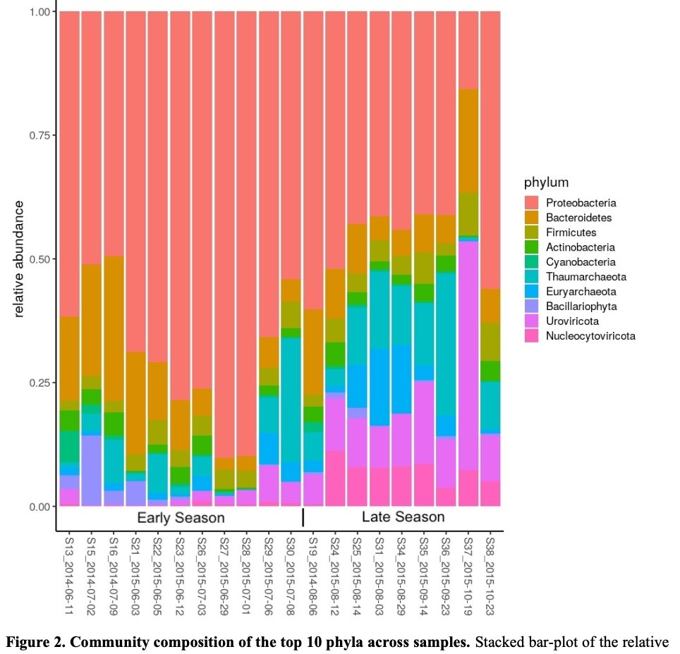bsuther7's tweet image. Our latest #preprint, &quot;#Metatranscriptomics reveals a shift in microbial community composition and function during summer months in a coastal marine environment&quot;, on @biorxivpreprint. 

Thanks for checking it out! Great to work with this outstanding team.

biorxiv.org/content/10.110…