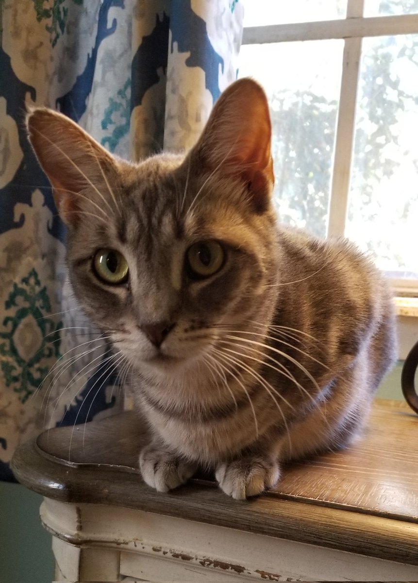 terri p (@terrip5831) on Twitter photo 