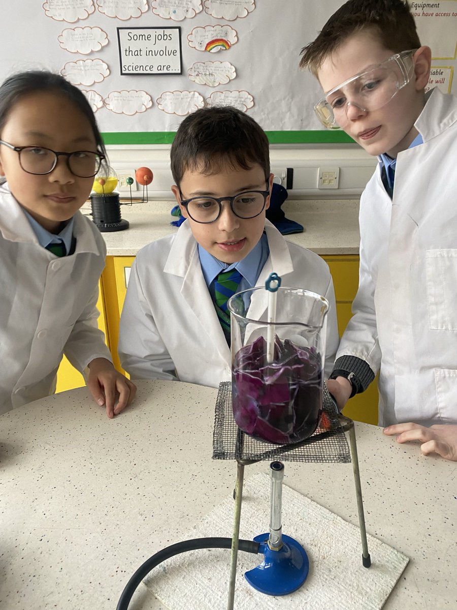 RPPS_STEM's tweet photo. This week, Year 6 made cabbage indicator to identify acidic, neutral and alkaline substances! 
@RPPS_Year6 
#cabbageindicator #year6science #primaryscience #practicalscience #handsonlearning https://t.co/LyS23ZAELn