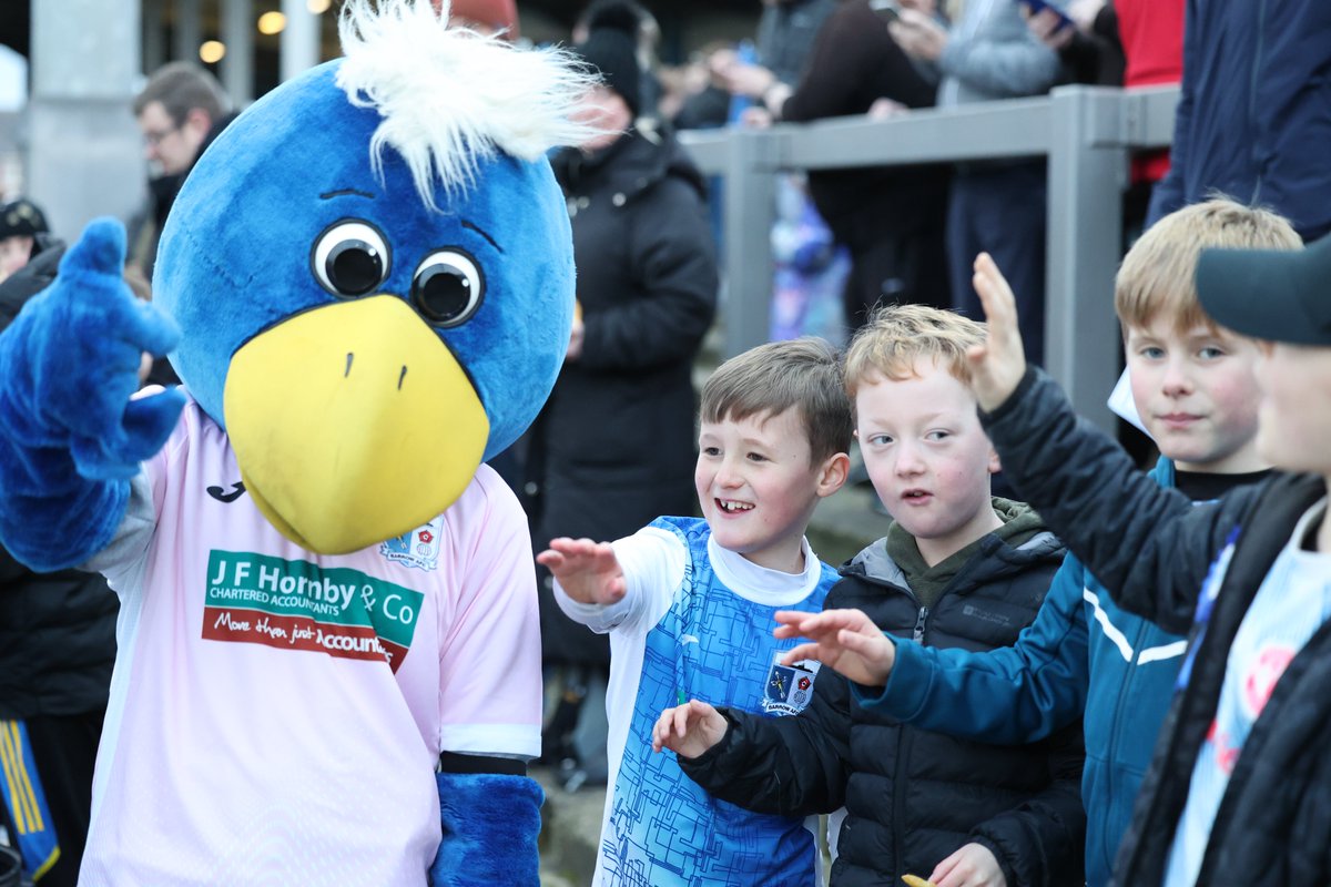 Bluey the Bluebird tweet media