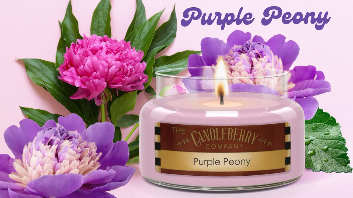 Our New Purple Peony candle is here, and we are so in love! This candle is a memory evoking experience. Fill your home with Ruby pomegranate, blush peony, and midnight jasmine are wrapped in sheer white woods with a hint of pink peppercorn.
bit.ly/35ohPo1