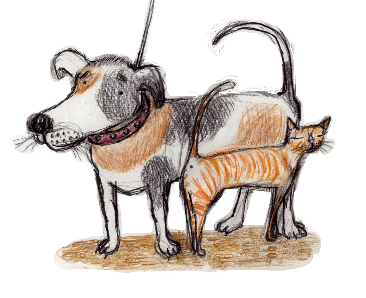 One of my favourite things is going for a walk with a friend #friends #goingforawalk #drawing #illustration #colouredpencil #pencil #mongrel #tabbycat #gingertabby #cat #dog #moggy @ZwartblesIE you can maybe relate?