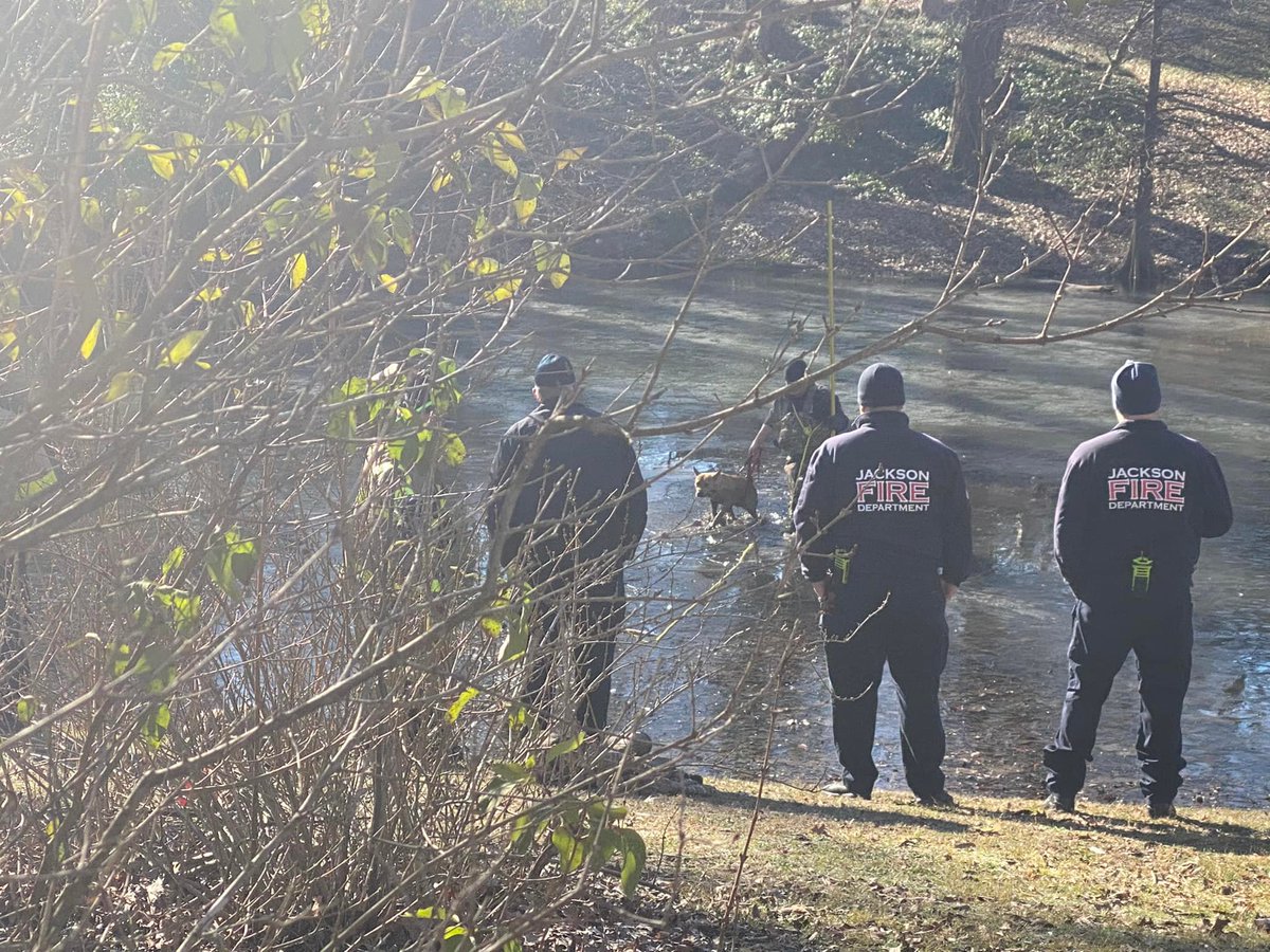 Over the weekend, our @JacksonTNFire assisted in the rescue of an animal that fell in a frozen lake in the LANA Community. #SecondToNone! #JacksonTN