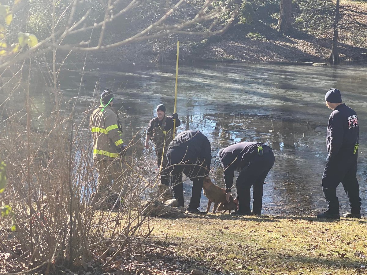 CityofJacksonTN's tweet image. Over the weekend, our @JacksonTNFire assisted in the rescue of an animal that fell in a frozen lake in the LANA Community. #SecondToNone! #JacksonTN