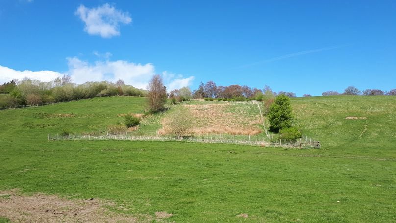 AECS Window 🪟 | The 2022 Agri-Environment Climate Scheme application round opened TODAY and closes on Friday 29 April 2022 (with a few exceptions)

Can we help you with your application? 

Find out more about AECS 👇

📲 issuu.com/ckdgalbraithpr…