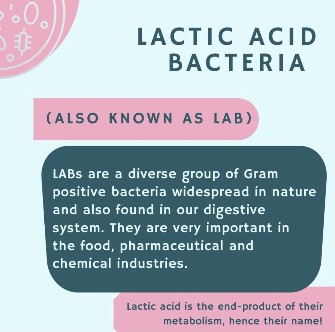 Lorca Lab tweet media