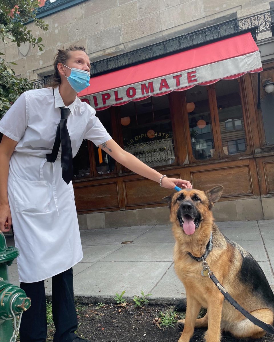 AmbassadogTeddy's tweet photo. Teddy has quite the sense of humor. And, no, he didn't eat the menu, just part of it...
@LeDiplomateDC @doglatinbeth https://t.co/Nf3cmxPQPe