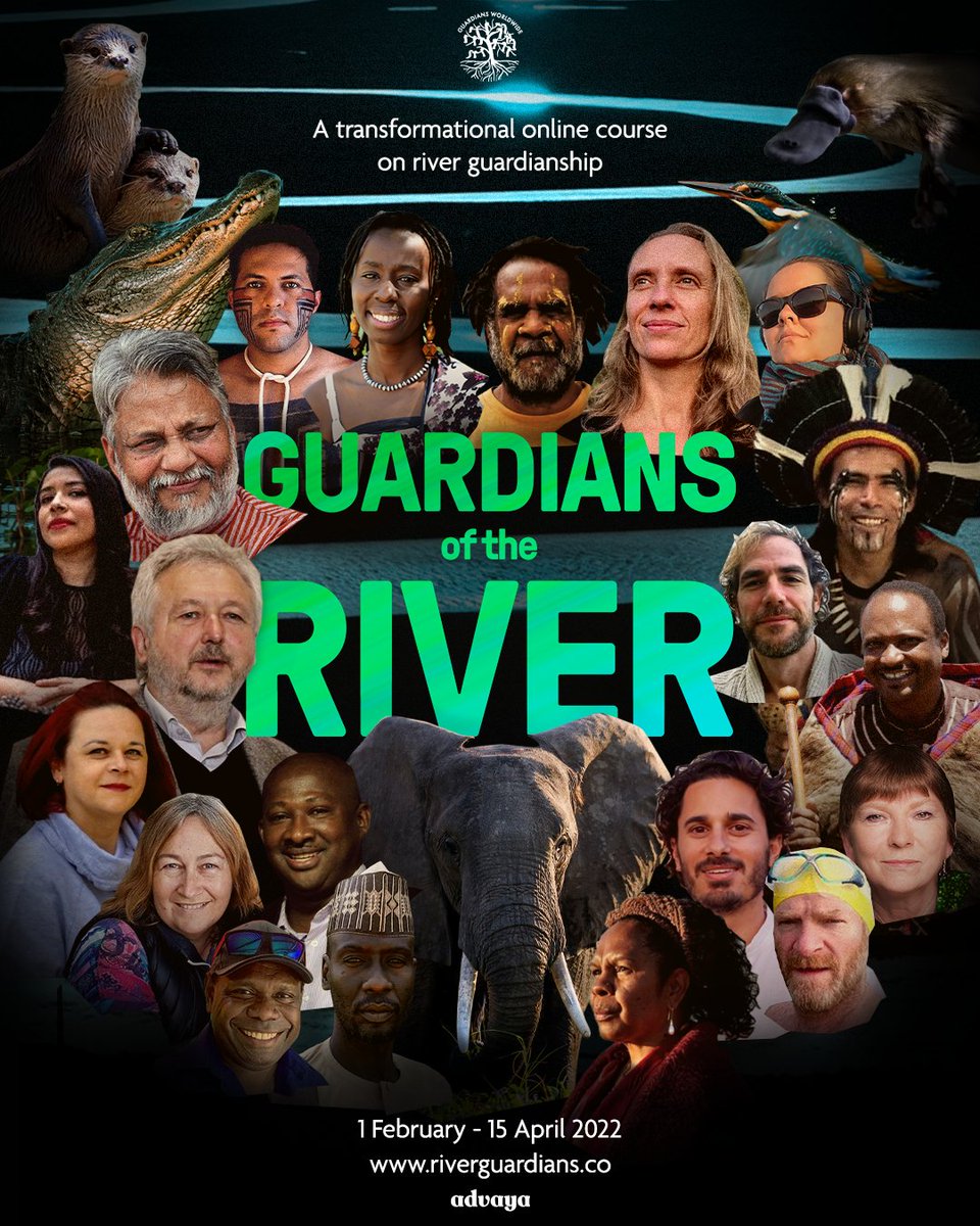 OceanicGlobal's tweet image. 🗓 UPCOMING EVENTS 🗓 If you're looking for educational or immersive events to join, here is what’s happening this week and beyond. Learn more at facebook.com/oceanic.global…