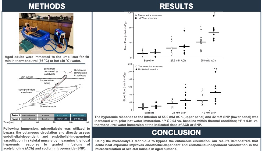 AJP-Heart and Circ (@ajpheartcirc) on Twitter photo #ArticlesInPress: Acute Heat Exposure Improves #Microvascular Function in #Skeletal Muscle of Aged Adults
(Richey et al.)
ow.ly/cPFJ50HBqSh
<a href="/rerichey/">Rauchelle Richey</a> <a href="/UNTPublicHealth/">UNTHSC College of Public Health</a> <a href="/UNTHSC/">HSC Fort Worth</a>
#HeatExposure #MicrovascularFunction
#microdialysis #SkeletalMuscle #ArticlesInPress: Acute Heat Exposure Improves #Microvascular Function in #Skeletal Muscle of Aged Adults
(Richey et al.)
ow.ly/cPFJ50HBqSh
<a href="/rerichey/">Rauchelle Richey</a> <a href="/UNTPublicHealth/">UNTHSC College of Public Health</a> <a href="/UNTHSC/">HSC Fort Worth</a>
#HeatExposure #MicrovascularFunction
#microdialysis #SkeletalMuscle