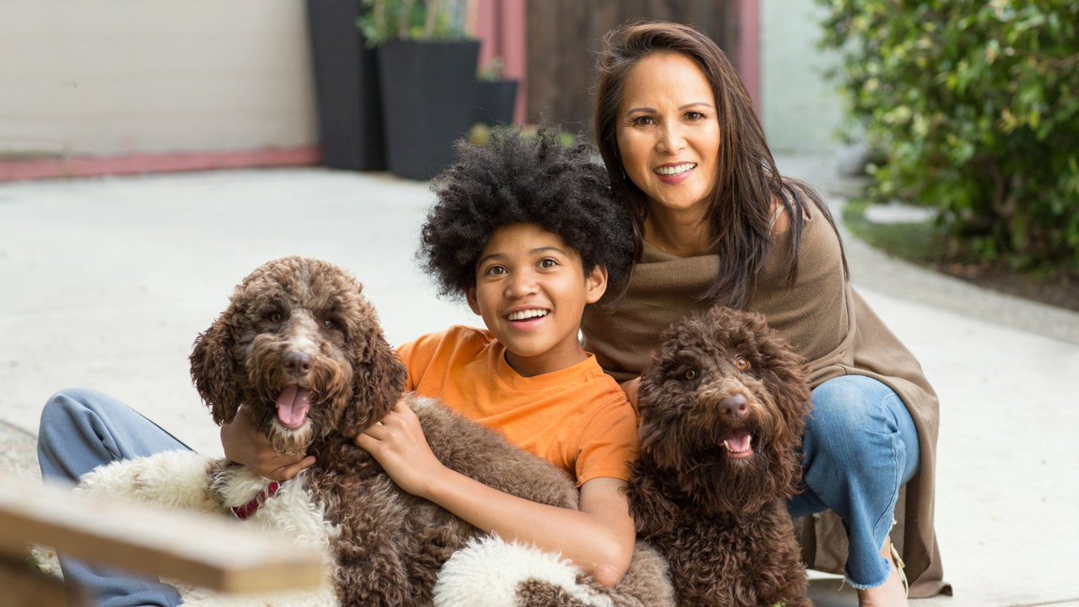 BuddyVpets's tweet photo. “Dogs have given us their absolute all. We are the center of their universe. We are the focus of their love and faith and trust. They serve us in return for scraps. It is without a doubt the best deal man has ever made. ” – Roger A. Caras https://t.co/jvxVGYQmOP