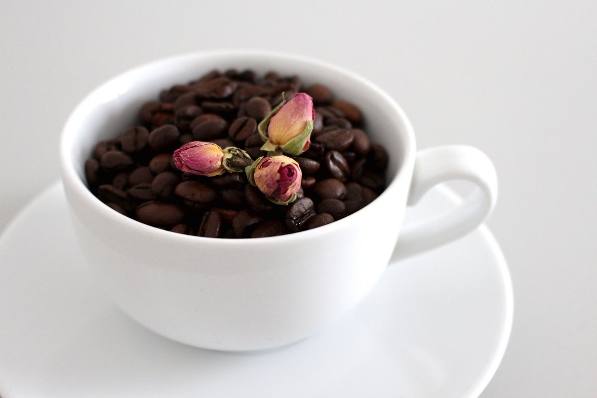 OranzNaame's tweet photo. < Café aussi mystique que le point du jour
Et dense que la terre assoiffée de lumière,
Promptement disposé à recréer un monde >

📷Monfocus/Pixabay https://t.co/FroglISdH9