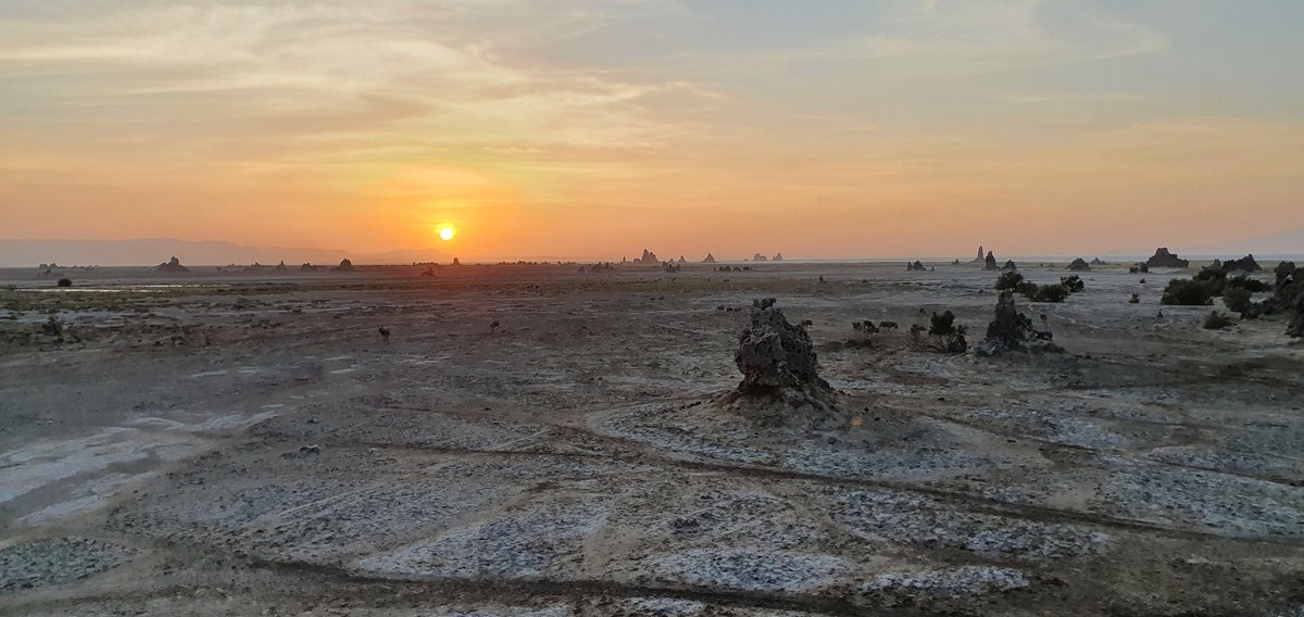 ICrevecoeur's tweet photo. Back to the field, finaly. Djibouti wonders and promises, with the PSPCA project directed by Jessie Cauliez ! #AsEyla #Djibouti @umr5608_traces @PACEA_Bordeaux @INEE_CNRS https://t.co/eKe0EprJzX