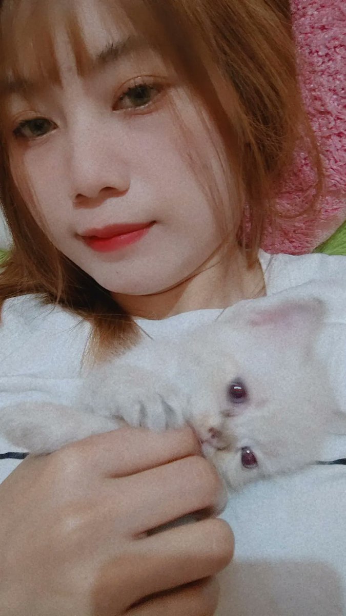land_oq's tweet photo. #cat #catlover #BTS #happy #janganlupabersyukur https://t.co/sRjModulFO