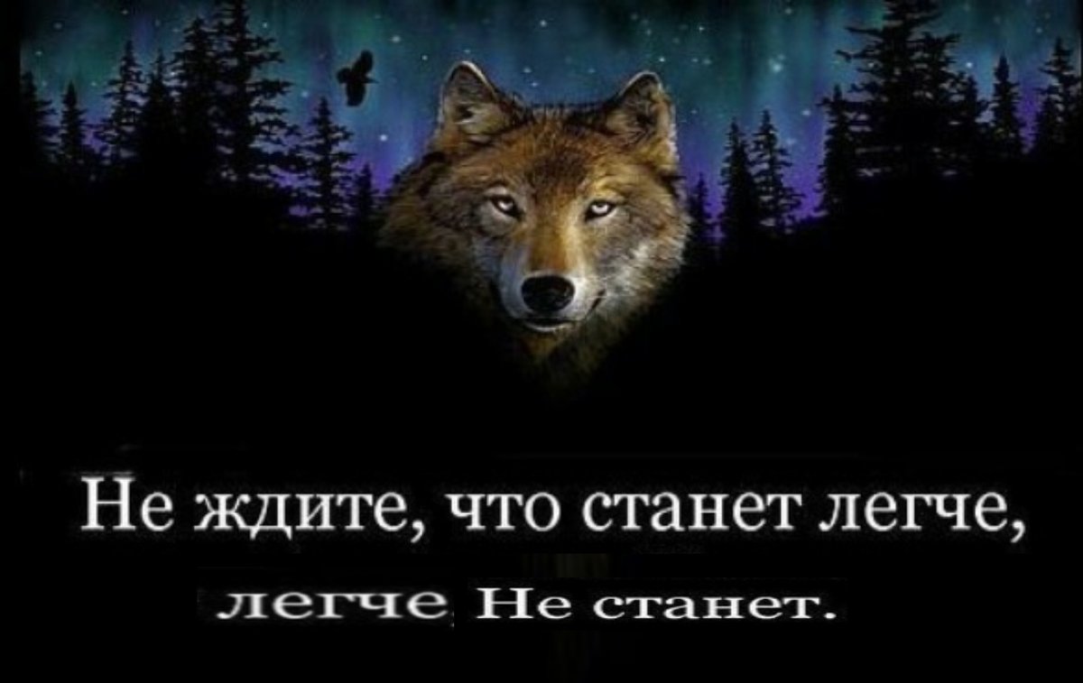 yes_sey_'s tweet photo. @chudo_ne7 НеТ, вОлКи https://t.co/LkaNX3sbgx