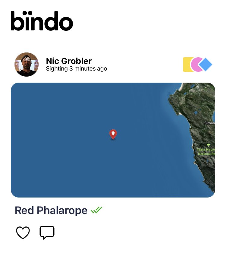 Deck erupts into some type of frenzy. #flocktomarion ⁦<a href="/bindobirding/">bïndo</a>⁩