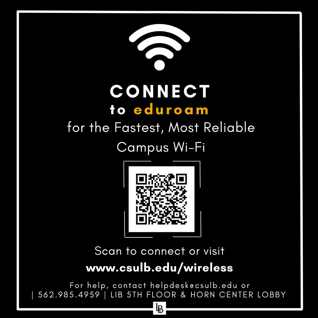 Campus Wi-Fi, Large Facility Networks