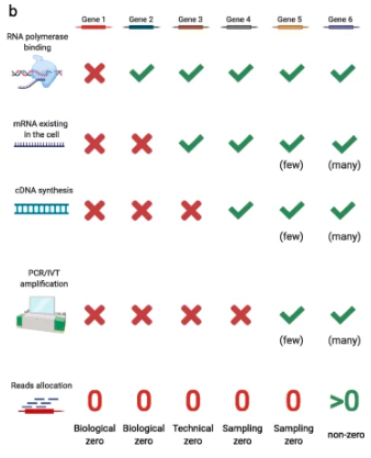 GenomeBiology's tweet photo. Review on zero-inflation of single-cell RNA-seq data, from @Ruochen_Jiang, @jsb_ucla &amp; co. They discuss the sources of biological and non-biological zeroes, methods to address them, and how they influence analysis.  https://t.co/JgJw5Js47X https://t.co/bs5fSATDpK