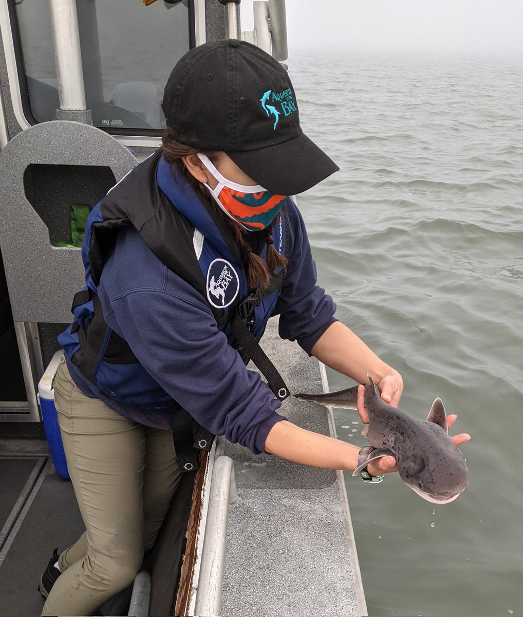 Meghan Holst tweet media