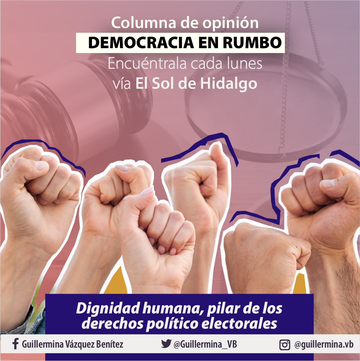 Guillermina Vázquez tweet media