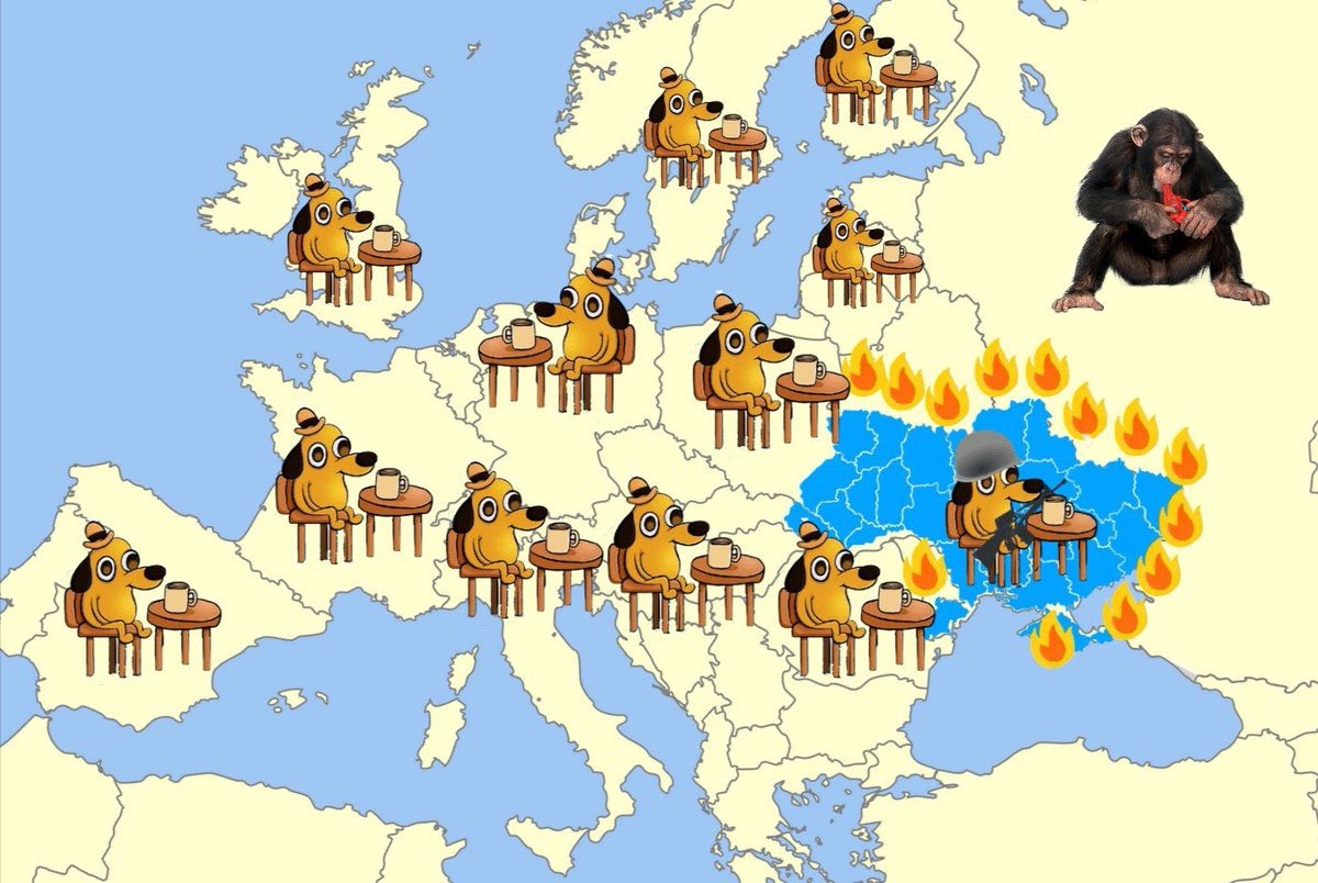 Горобчик-соціофобчик  🇺🇦 tweet media