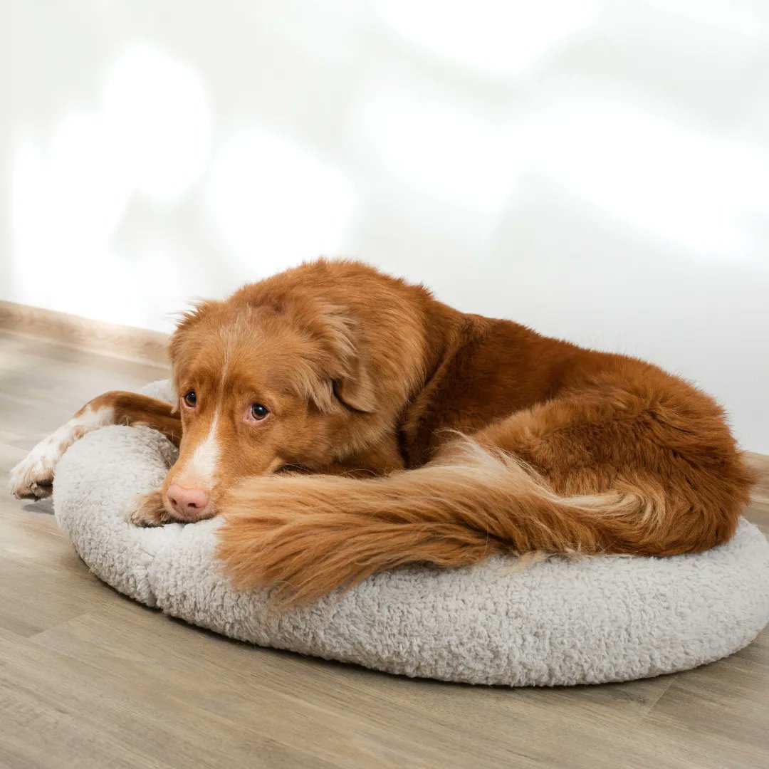 Urine Off Pet Products tweet media