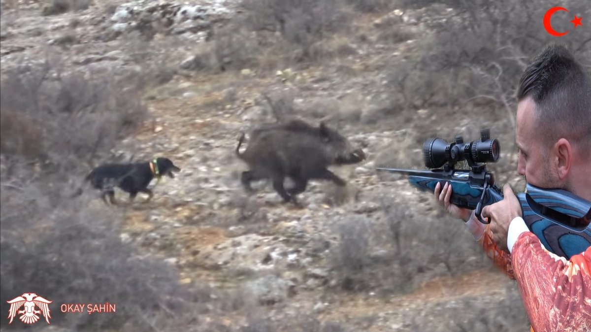 okaysahin_'s tweet photo. Yeni video yayında.👇
https://t.co/09Qp1hbaiF

#okaysahin #domuzavı #huglu #wildboar #Hunter #hunt https://t.co/ubqL2BGZkr