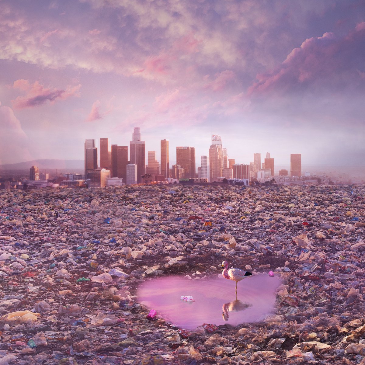 Résistance 
1/3 About the invaded nature.