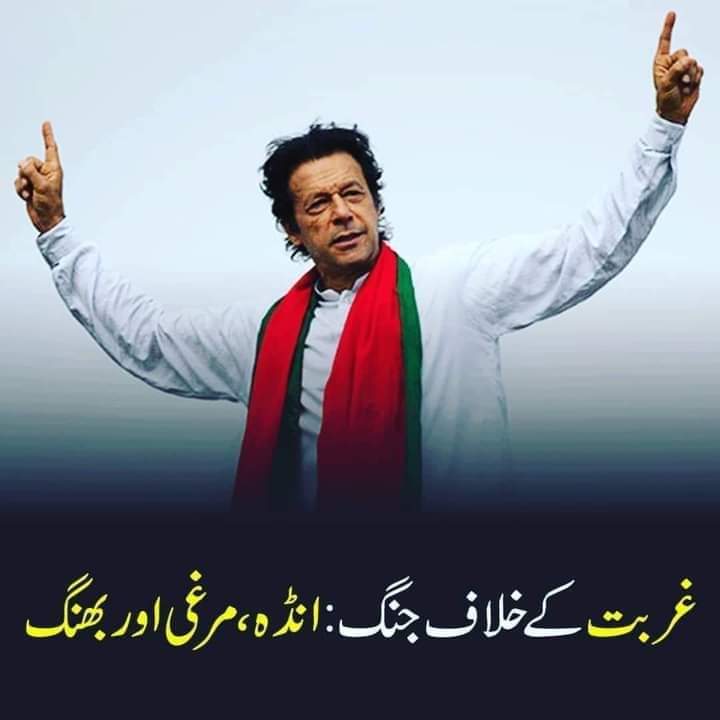 SARDAR 🐅🇵🇰 tweet media