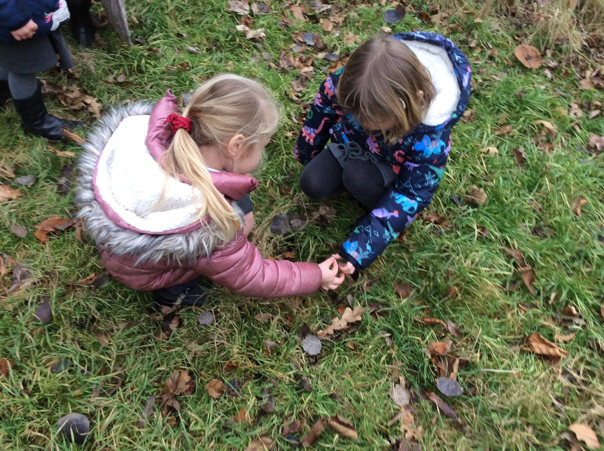 AllSaintsTraff's tweet photo. Today in Reception, we have been thinking about -What a bird needs to build a nest ? Super field work this afternoon on our school field @Natures_Voice #understandingtheworld #localarea #allaroundus #birds #nests https://t.co/bdgujMTetz