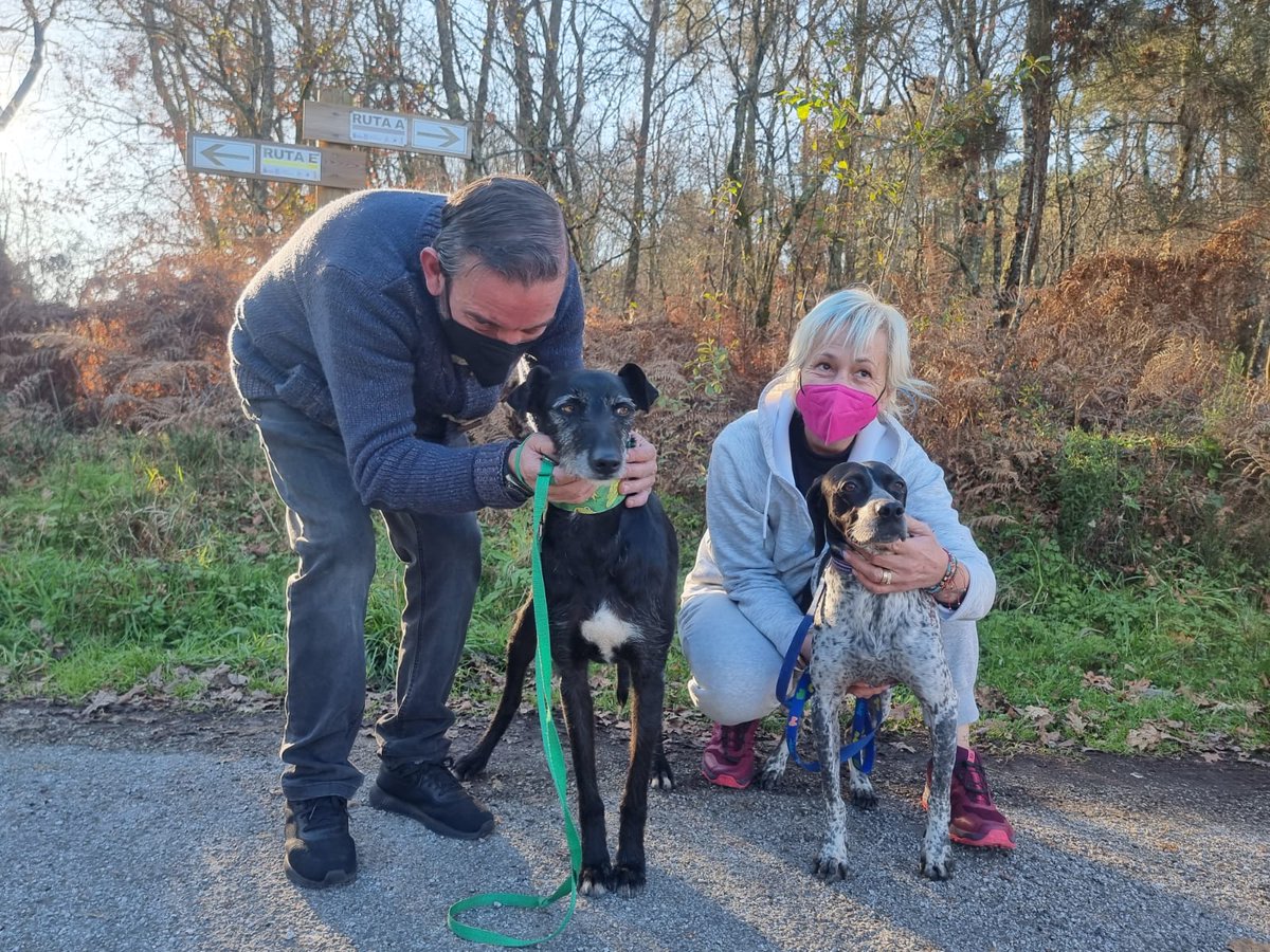 planetazarpa's tweet photo. Por fin ha llegado el día! #Pekas ha sido adoptada!
Su nuevo hermano 🐶es Noche ,nuestro galgo adoptado por una familia estupenda hace un par de años y que han aumentado la familia haciendo un huequito a nuestra #Pekas.
Que seas muy feliz, nosotros lo estamos inmensamente por ti https://t.co/zZ07cEwSaK