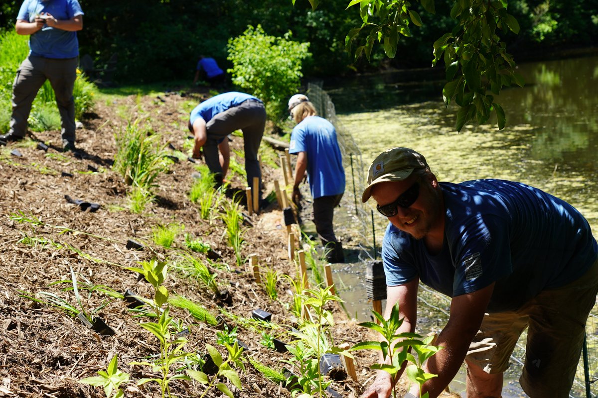 natshoretech's tweet photo. Do you love to work outdoors? Come work with us! We are looking for motivated and dependable people with a passion for ecological restoration. We have several seasonal positions open, check them out here!
https://t.co/TPfYh3yAvY https://t.co/5OeZuAbaDz