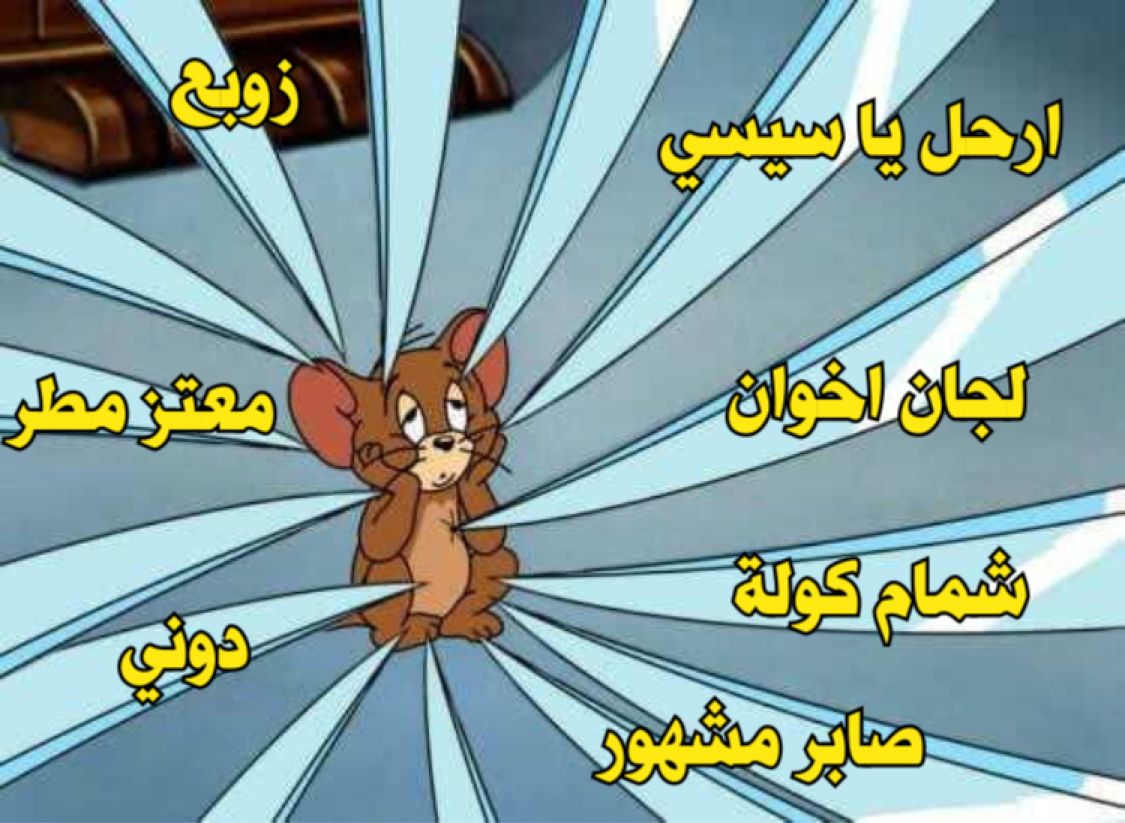 Ghada El Sokkary (@GhadaSokkary) / Posts / X