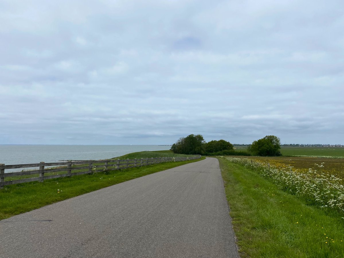 GroenLinks DFM tweet media